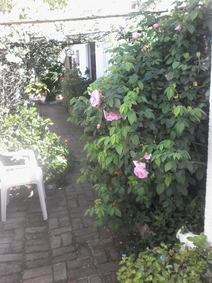Self Catering Unit 6, Sandbaai 허머너스 외부 사진