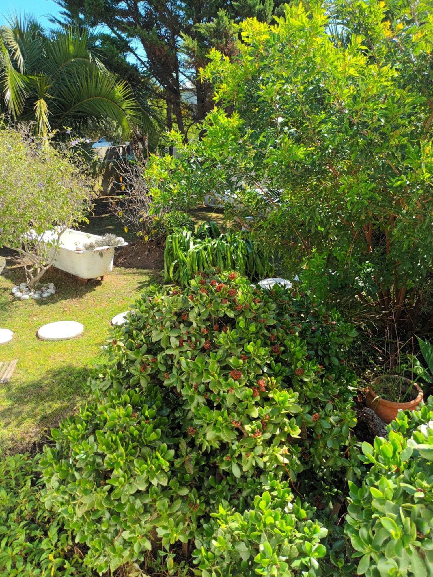 Self Catering Unit 6, Sandbaai 허머너스 객실 사진